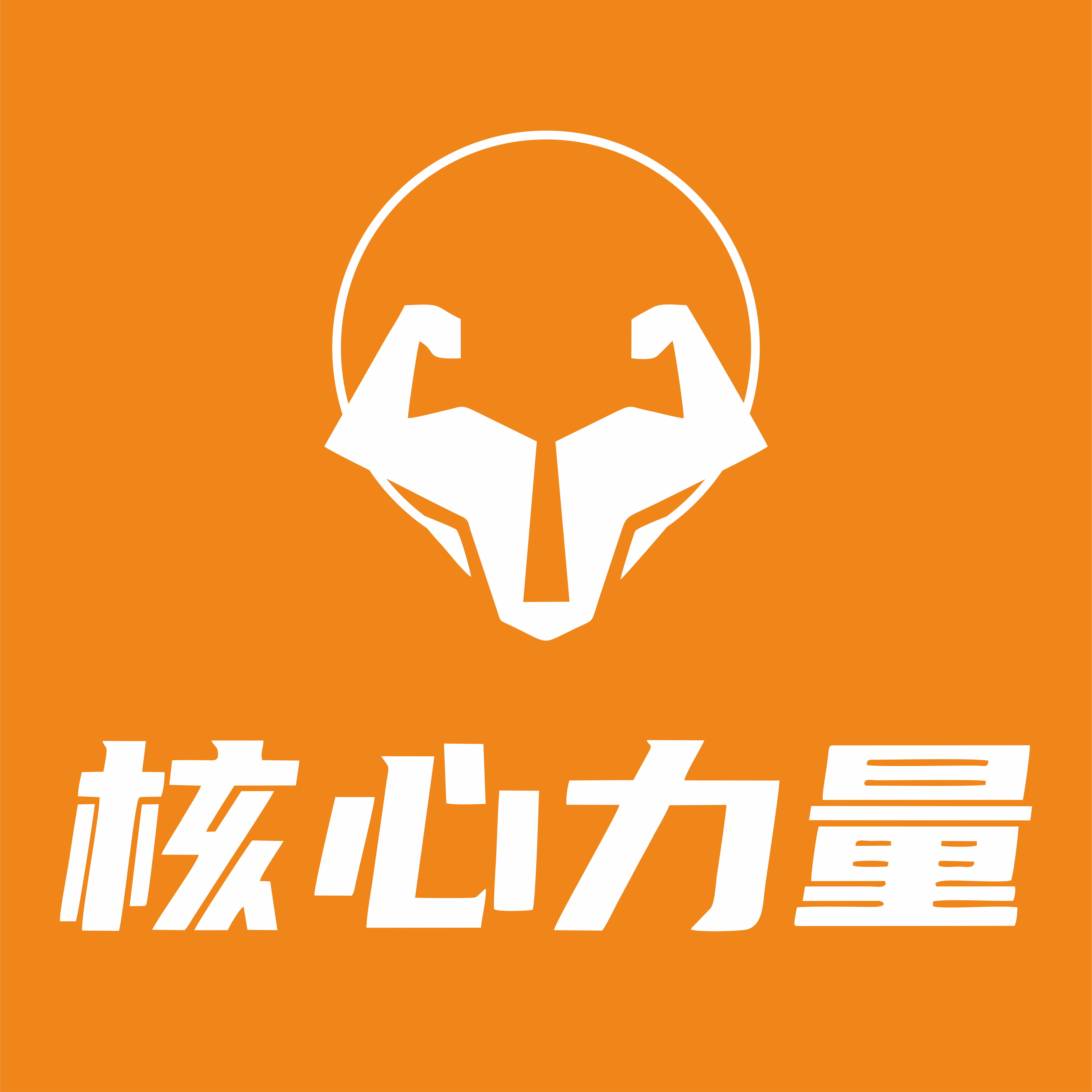 新余市领动体育培训