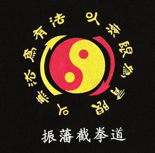 文山市振藩截拳道培