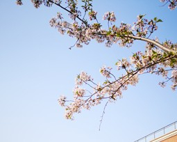 上海宝山区求真中学