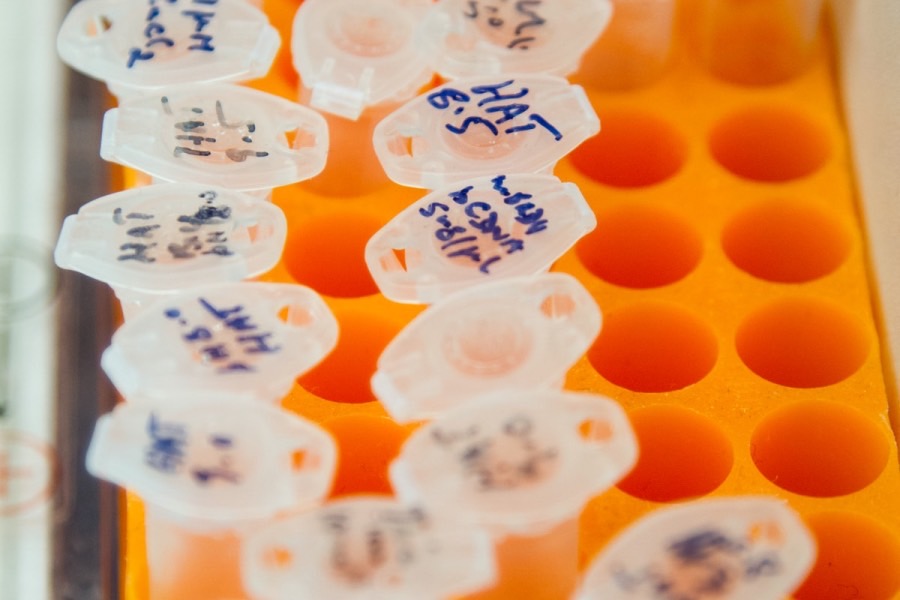生物农药科学与工程