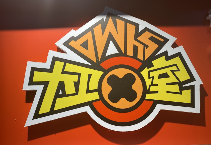 长沙市开福区大卫美术培训中心有限公司