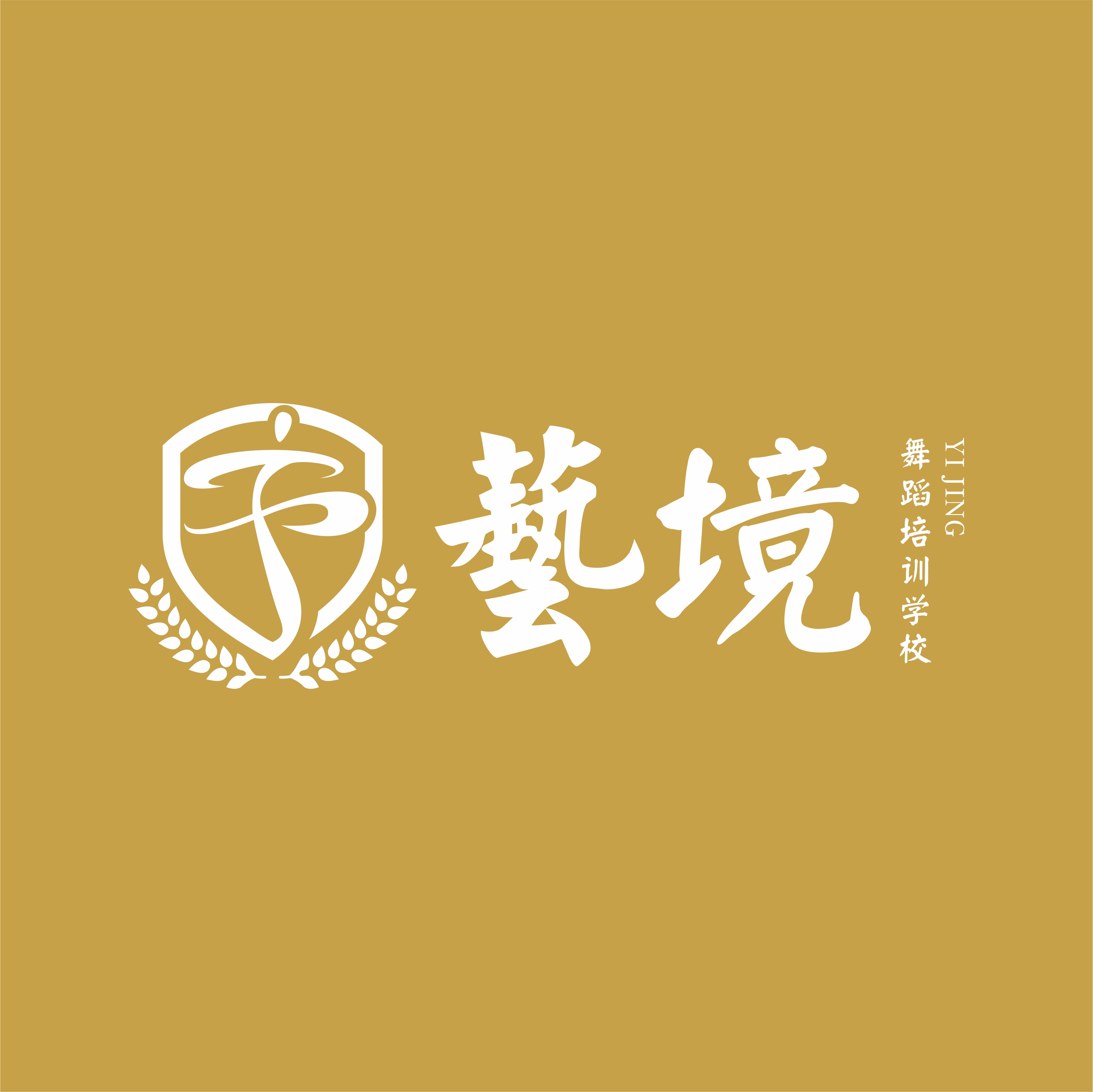 秦皇岛市海港区艺境舞蹈培训学校有限公司