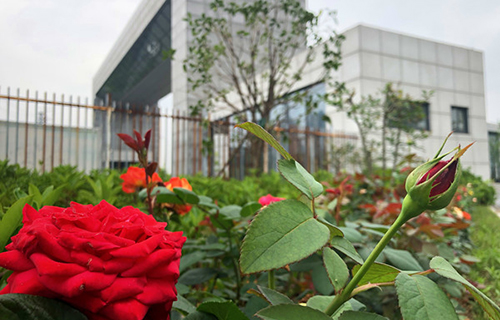 淄博市周村职业中等专业学校