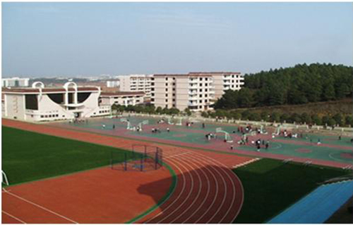 齐齐哈尔市财政职工
