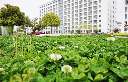 红河哈尼族彝族自治州技工学校