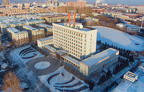 鸡西大学