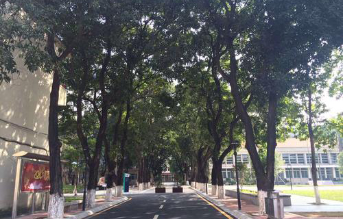 路南彝族自治县路美
