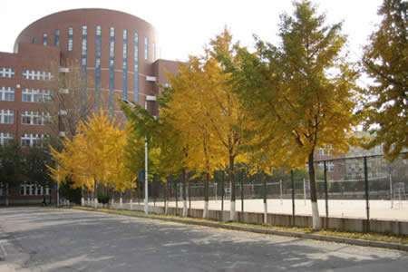 铜川矿务局职工中等