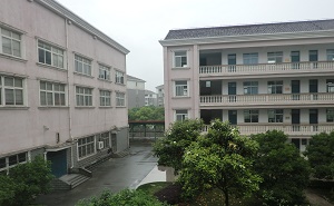 上海市宝山区罗南中