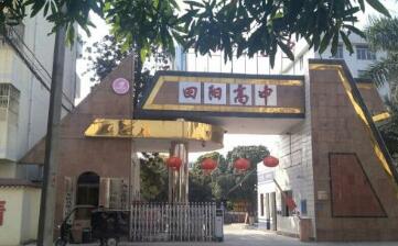 广西壮族自治区田阳