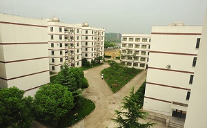 浦东外国语学校