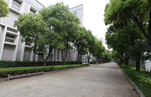 滠口街道十里中学