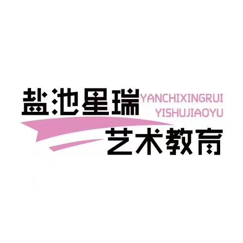 盐池县星瑞艺术培训有限公司