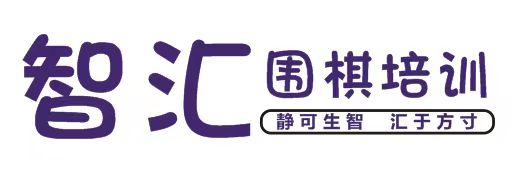 大悟县智汇围棋培训有限公司