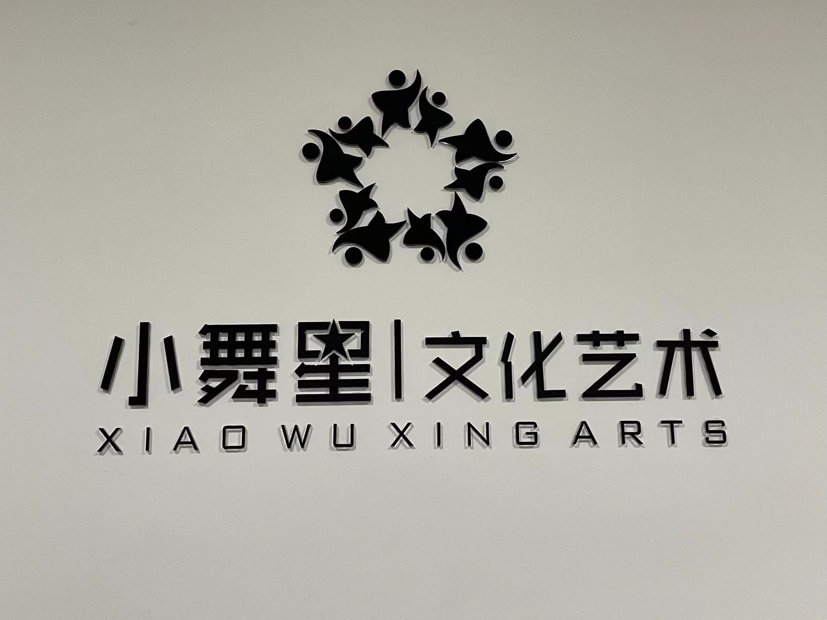蒙山县小舞星舞蹈艺