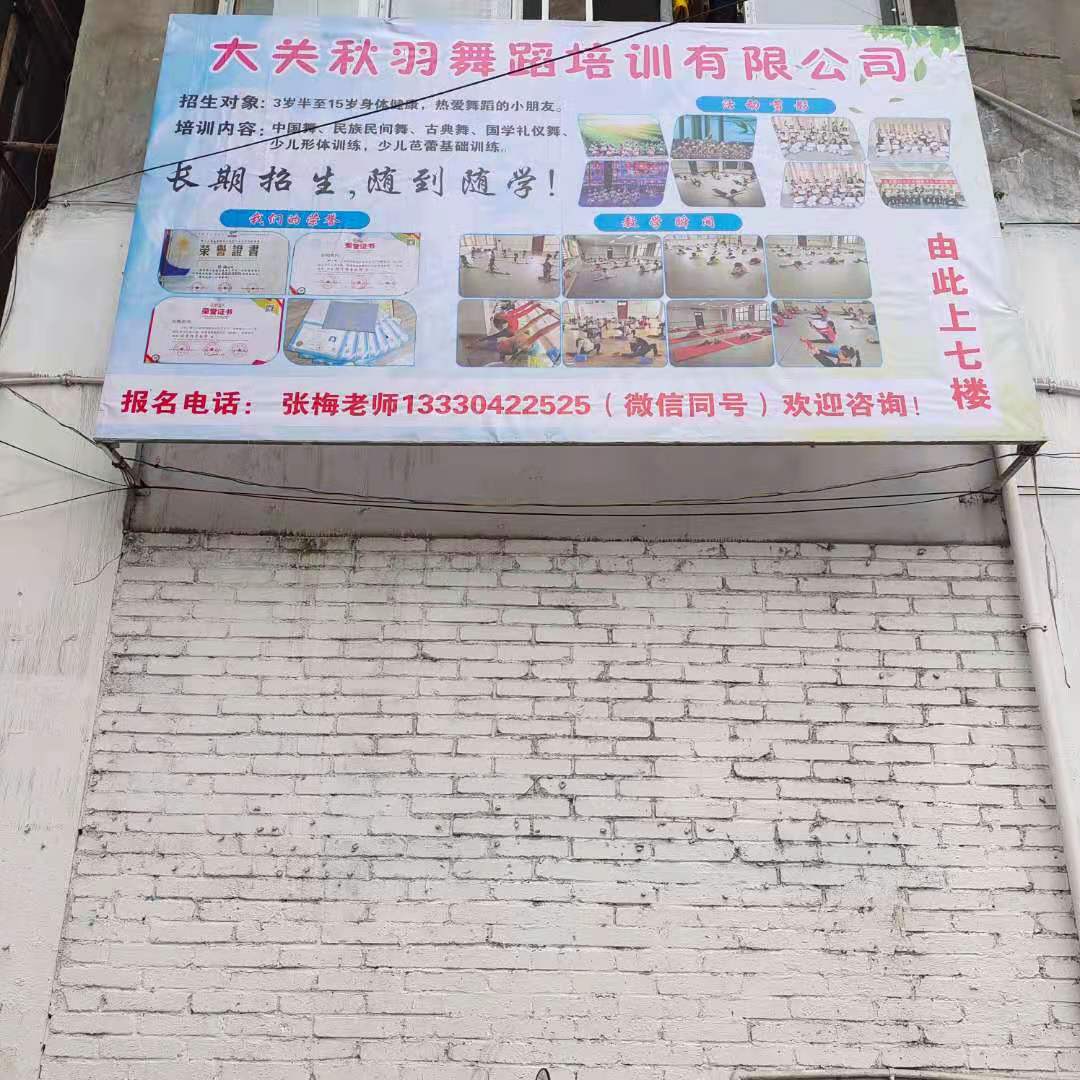 大关县秋羽舞蹈培训有限公司