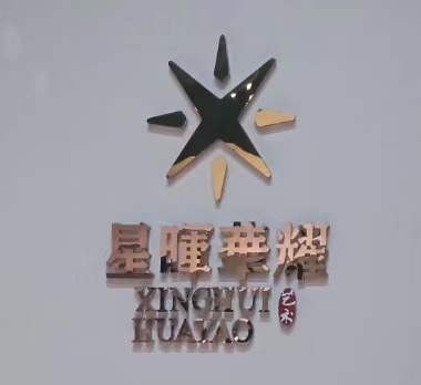 石家庄星晖华耀艺术培训学校有限责任公司